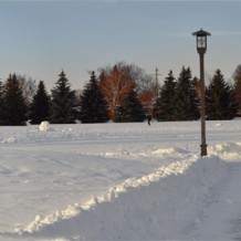 Panoramic in the Park